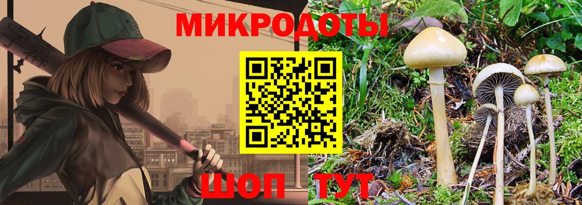 Галлюциногенные грибы Magic Shrooms Губкин
