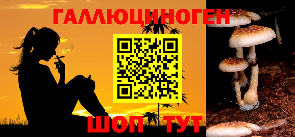 Псилоцибиновые грибы Psilocybine cubensis  Вход с VPN  Губкин 